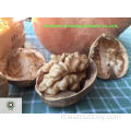 quartieri leggeri di noci naturali sbucciati